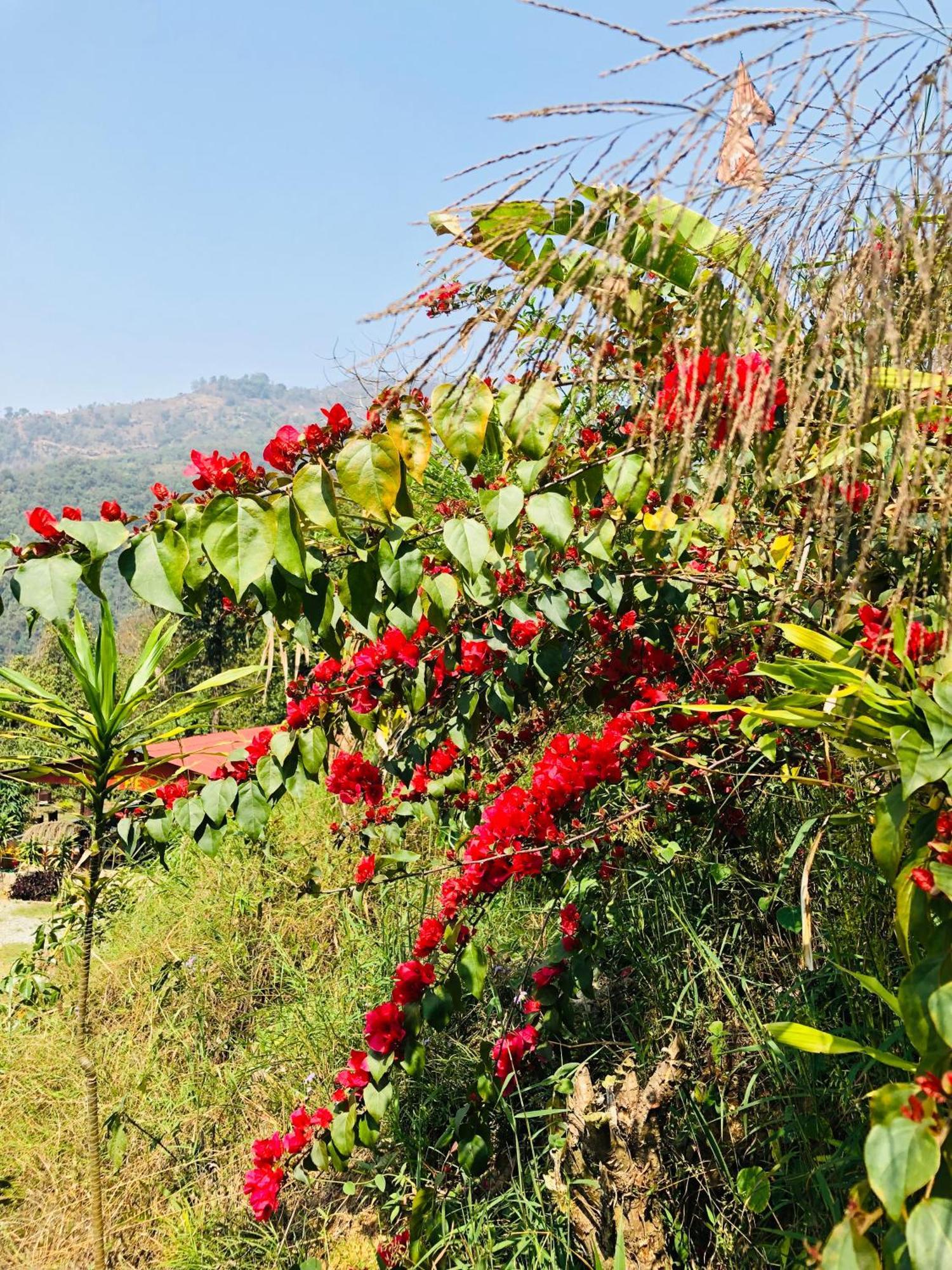 Вилла Into The Wild Pokhara Kaski Экстерьер фото