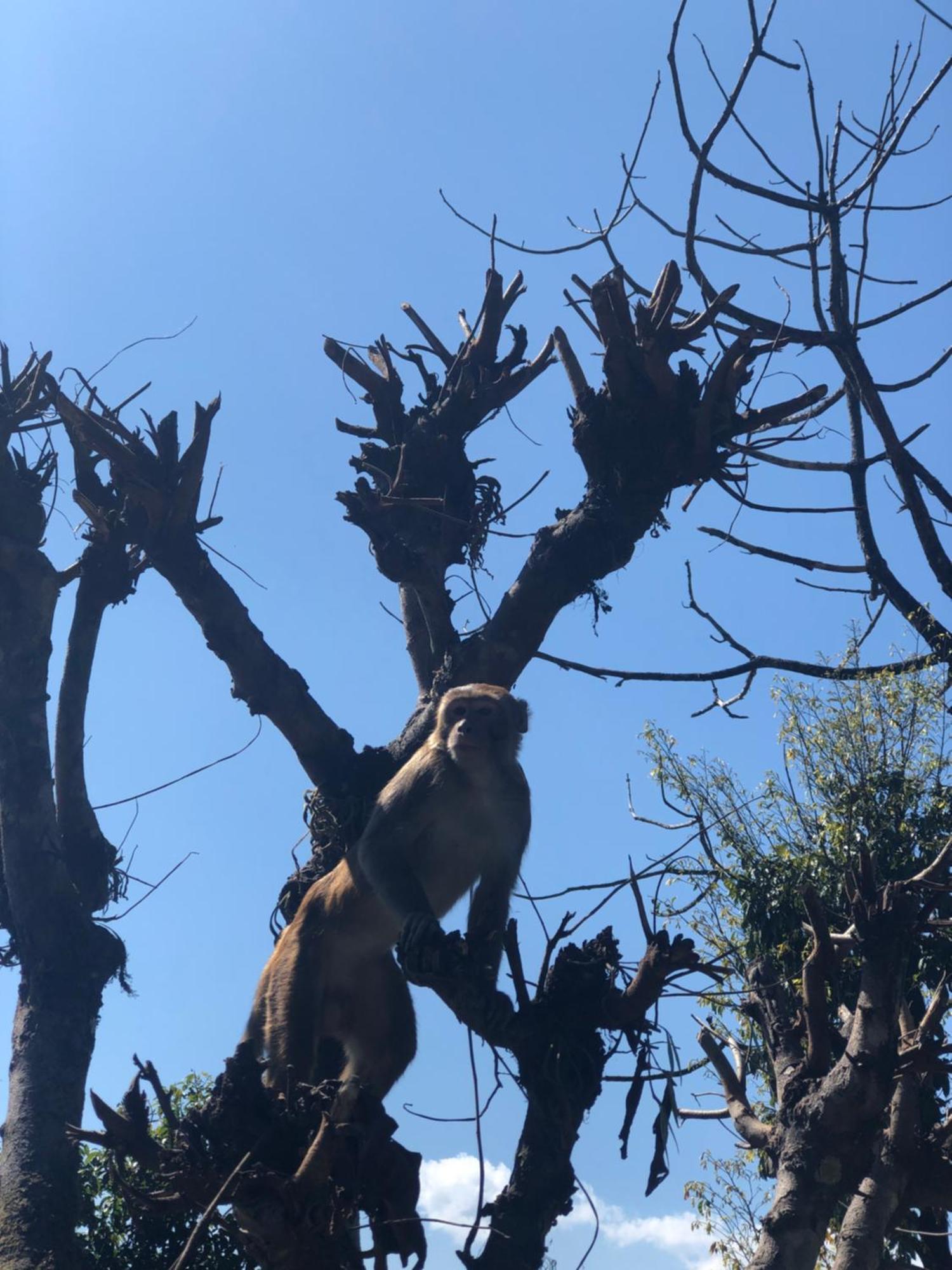 Вилла Into The Wild Pokhara Kaski Экстерьер фото