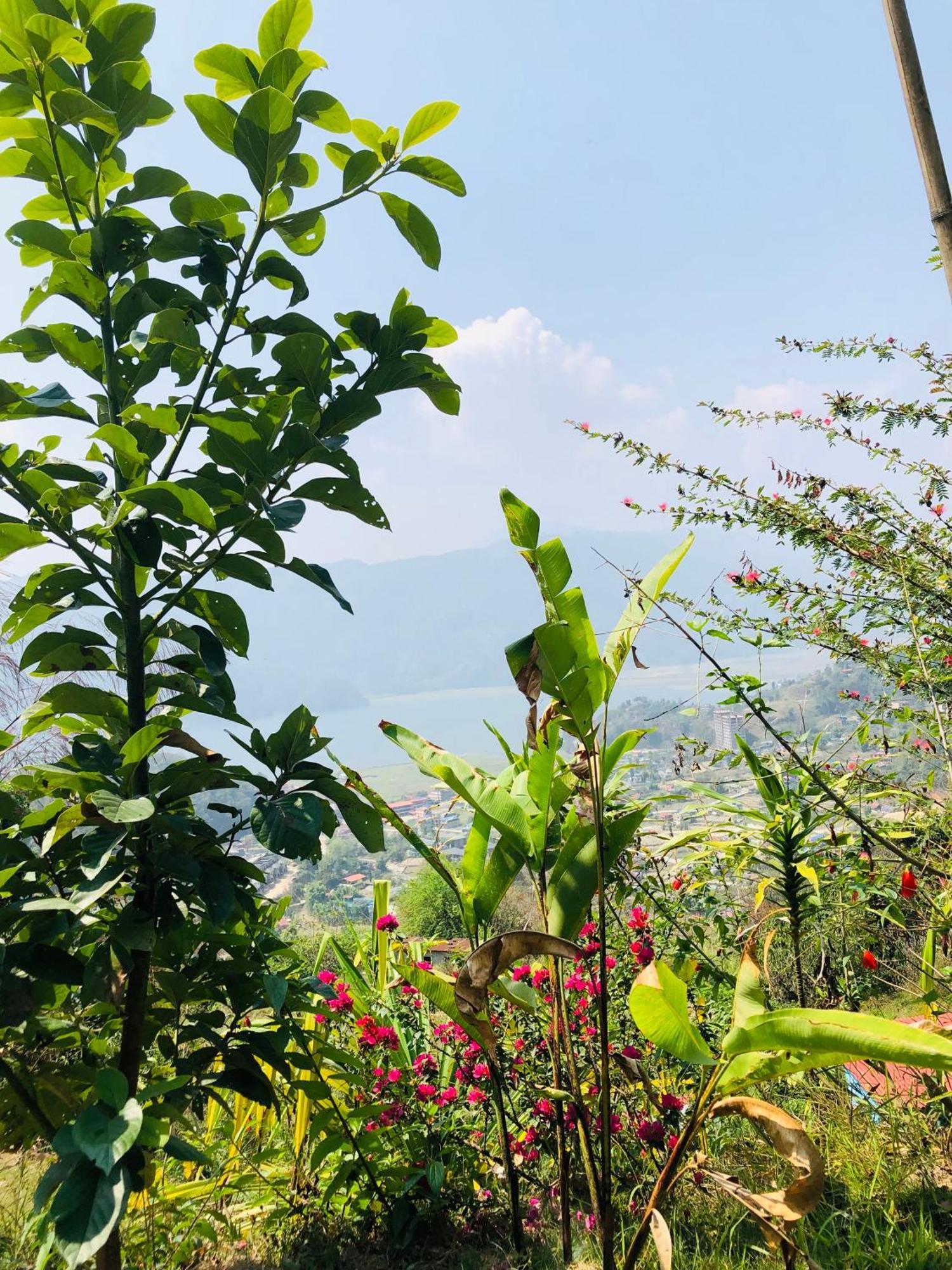 Вилла Into The Wild Pokhara Kaski Экстерьер фото